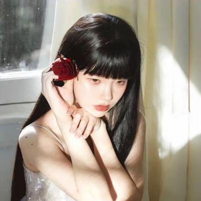 盛开的樱花林下
